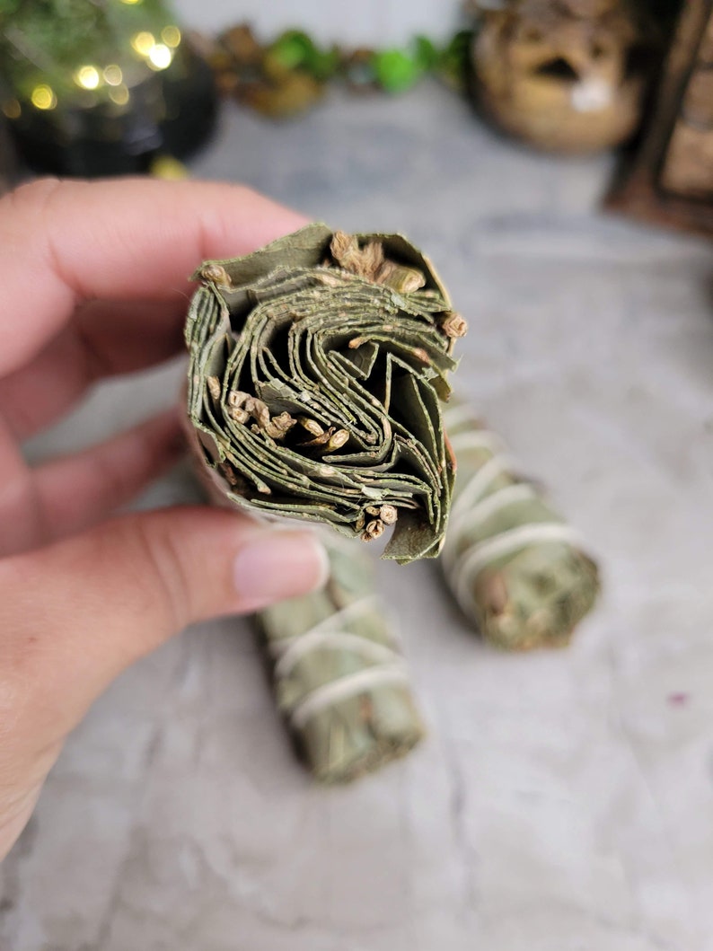 May include: Two bundles of dried sage leaves tied with twine. The bundles are green and brown and are arranged on a white surface.