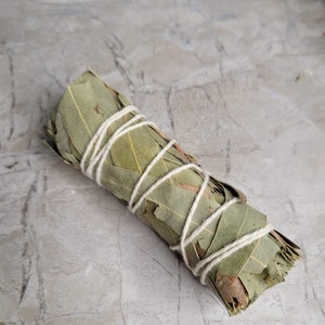 May include: A bundle of dried eucalyptus leaves tied together with twine. The leaves are a light green color and are arranged in a spiral shape.