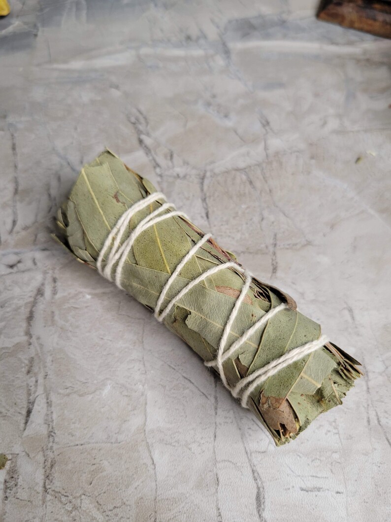May include: A bundle of dried eucalyptus leaves tied together with twine. The leaves are a light green color and are arranged in a spiral shape.