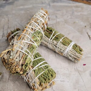 Pu&ograve; includere: Due mazzi di salvia e cedro legati con spago. I bastoncini sono una miscela di marrone e verde.