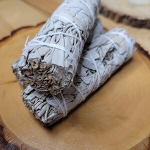Manojo de salvia seca / Decoración botánica / Material vegetal natural / Suministros para manualidades imagen 3