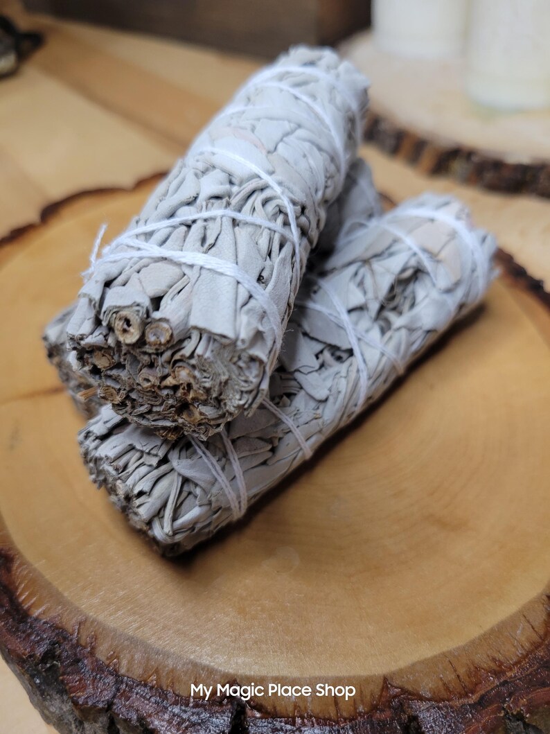 Manojo de salvia seca / Decoración botánica / Material vegetal natural / Suministros para manualidades imagen 3