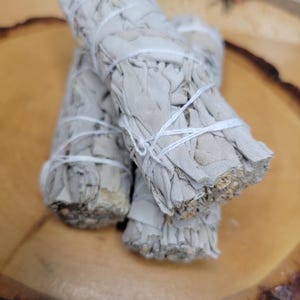Manojo de salvia seca / Decoración botánica / Material vegetal natural / Suministros para manualidades imagen 2