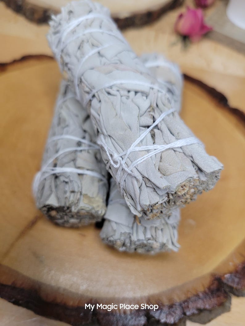 Manojo de salvia seca / Decoración botánica / Material vegetal natural / Suministros para manualidades imagen 2