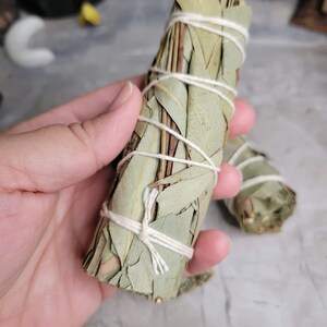 May include: A bundle of dried eucalyptus leaves tied together with twine, creating a smudge stick. The leaves are a light green color and the twine is white.