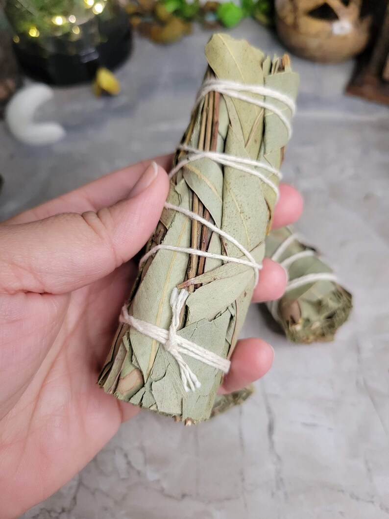 May include: A bundle of dried eucalyptus leaves tied together with twine, creating a smudge stick. The leaves are a light green color and the twine is white.