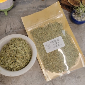 Eucalyptus Cut & Sifted - Magical Herb (1 oz)