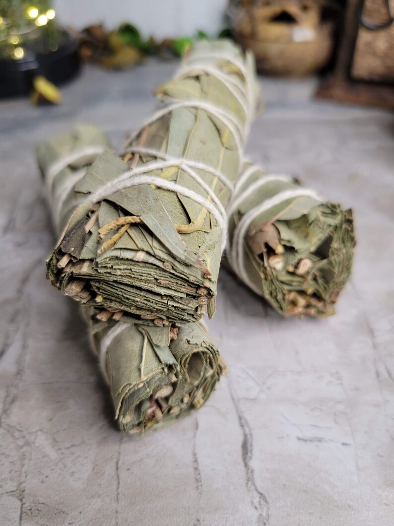 May include: Three bundles of dried eucalyptus leaves tied together with twine. The bundles are arranged on a light gray surface.