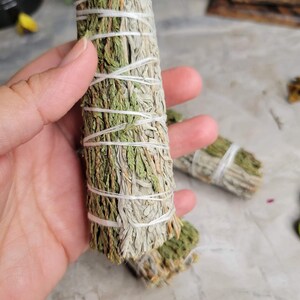 Pu&ograve; includere: Un mazzo di bastoncini di salvia e cedro legati insieme con uno spago. I bastoncini di salvia sono di colore verde chiaro e grigio.