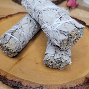 Manojo de salvia seca / Decoración botánica / Material vegetal natural / Suministros para manualidades imagen 1