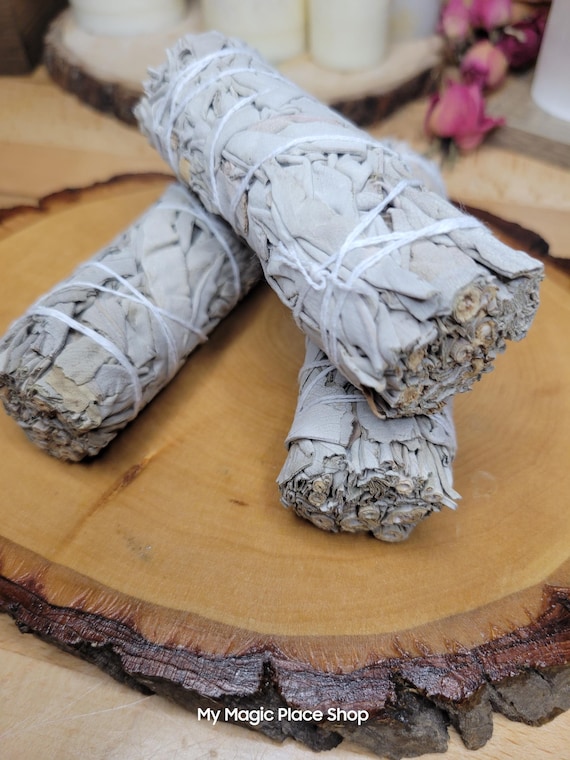 Dried Sage Bundle | Botanical Decor | Natural Plant Material | Craft Supply