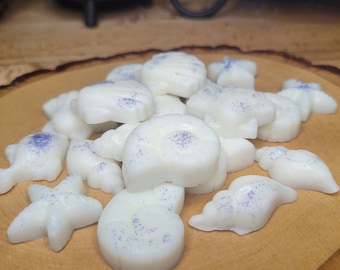 Sea Themed  Wax Melts Handmade Ocean  Scented Handcrafted Gift for Her