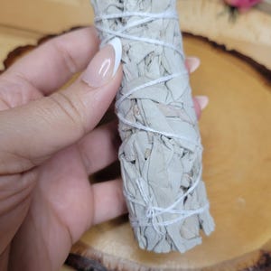 Manojo de salvia seca / Decoración botánica / Material vegetal natural / Suministros para manualidades imagen 5