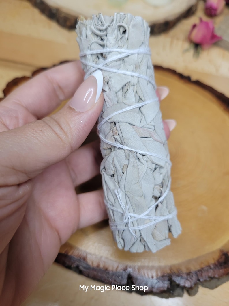 Manojo de salvia seca / Decoración botánica / Material vegetal natural / Suministros para manualidades imagen 5