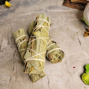 May include: Three bundles of dried eucalyptus leaves tied with twine, arranged on a light gray textured surface.