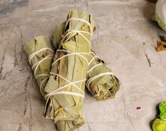 Dried Eucalyptus Bundle | Natural Botanical Decor | Craft Supply | Dried Plant Material