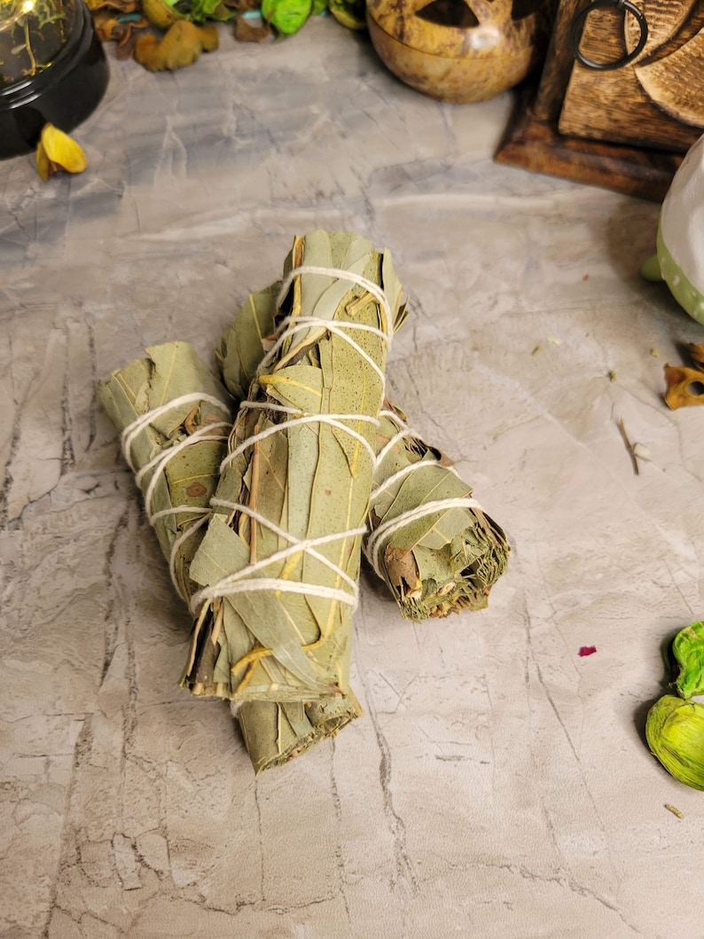 May include: Three bundles of dried eucalyptus leaves tied with twine, arranged on a light gray textured surface.