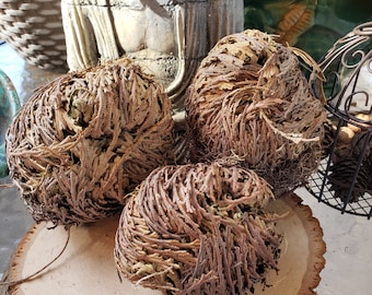 Rose of Jericho: Resurrection Flower Decoration