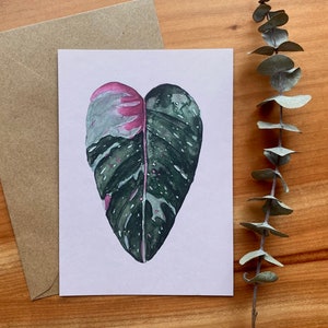 Ilustração da planta do cartão postal "Philodendron Pink Princess" | Pintura em aquarela | Impressão de belas artes | A6