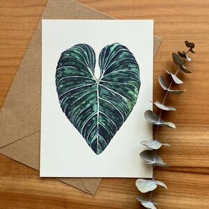 Ilustração da planta de "Philodendron Gloriosum" Cartão Postal | Pintura em aquarela | Impressão de belas artes | A6