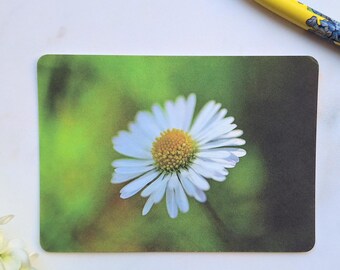 Daisy Art Photography Postcard