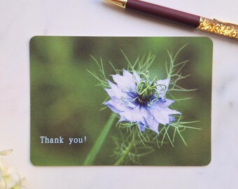 Floral Thank You Postcard: Flower Art