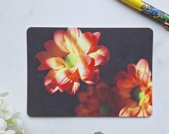 Flowers In Sunlight: Art Postcard