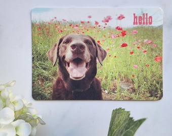 Labrador 'Hello' Art Photography Postcard