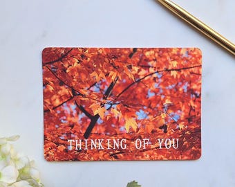 Autumn Leaves Photography Postcard: 'Thinking of You' Artwork