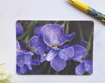 Floral Iris Art Postcard