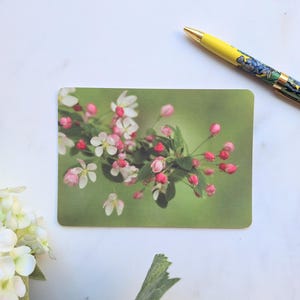 Postal de fotografía floral: Tarjeta artística con flores rosas