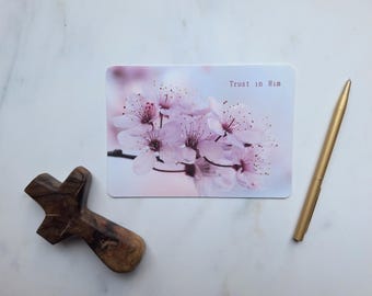 Cherry Blossom: Trust in Him