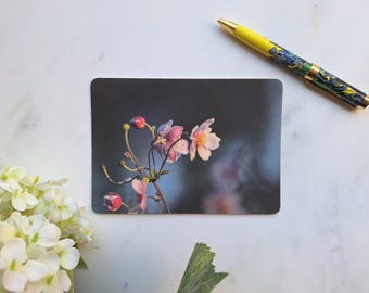 Floral Art Postcards: Japanese Anemone Flower Photography