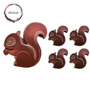 Vegan Squirrel Chocolates- Novelty Chocolate Gift Set