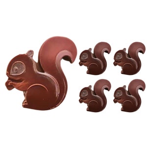 Squirrel Chocolates- Novelty Chocolate Gift Set