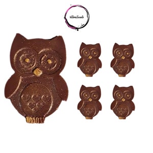 Vegan Owl Chocolates- Novelty Chocolate Gift Set