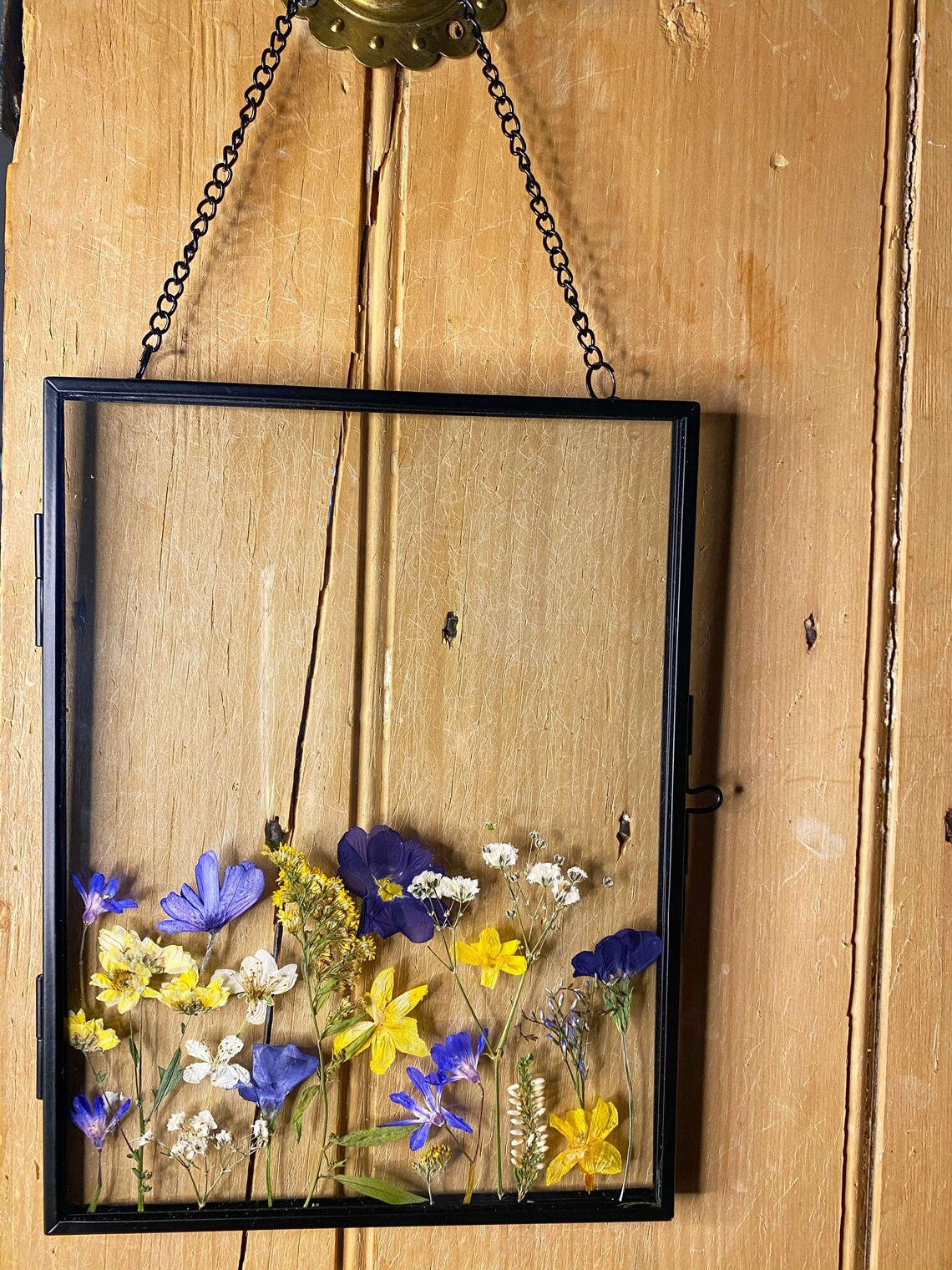 Pressed Flower Floating Frame Mixed Floral Decor Etsy