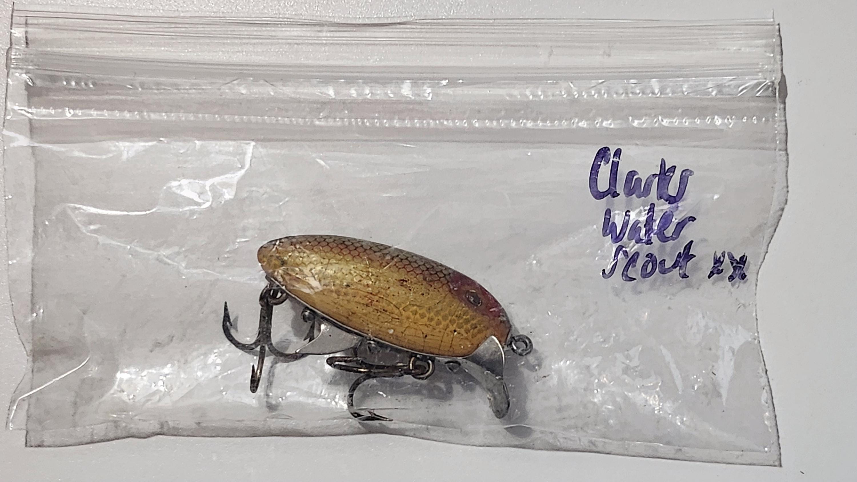 bodega bay lingcod pole fishing Bodega Bay Fishing Report 6-15-25  North Bay Fishing Charters
