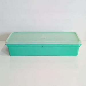 May include: A rectangular, teal-colored plastic container with a translucent lid. The container has a simple, clean design, suitable for storage. The lid has a circular emblem in the center. The container is sitting on a white surface.