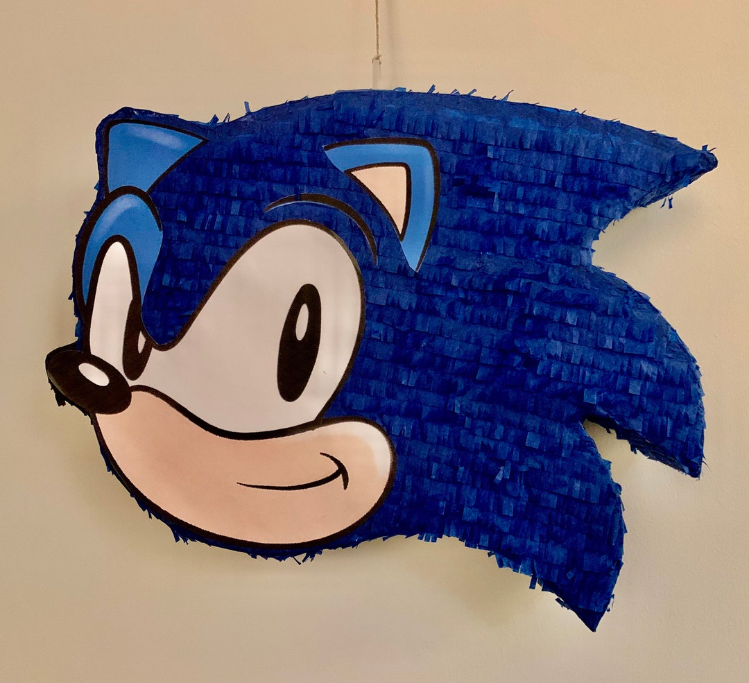 Sonic inspired pinata and stick pop smash birthday party boy game gamer  video fu