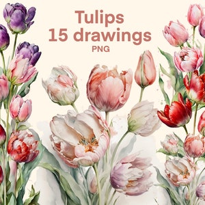 Tulpen Clipart, Aquarell png, Blumen, Digitaldruck, Illustration, Aufkleber, Scrapbook, Junk Journal, Papierhandwerk