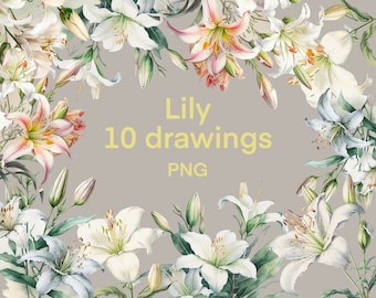 Lily clipart Watercolor png, Flowers digital print, illustration set, stickers, Scrapbook, Junk Journal, Paper Crafts