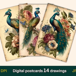 Tarjetas digitales de pavo real vintage, tarjetas de diario, impresión de postales antiguas, papel digital, descarga digital, hoja de collage, material efímero de diario basura