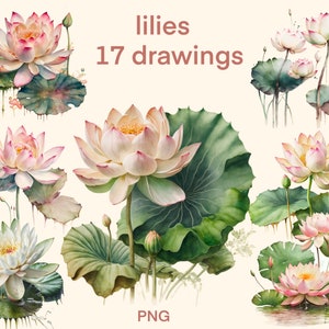 Water lily clipart Watercolor png, Flowers digital print, Lotus flower illustration set, stickers, Scrapbook, Junk Journal, Paper Crafts