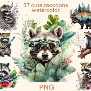 Watercolor Raccoons clipart png, cute raccoon digital print, illustration set, stickers, Scrapbook, Junk Journal, Paper Crafts