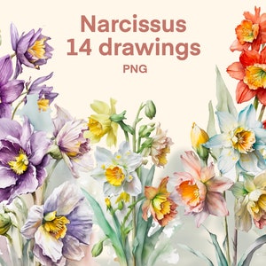 Narcissus clipart Watercolor png, Flowers digital print, illustration set, stickers, Scrapbook, Junk Journal, Paper Crafts