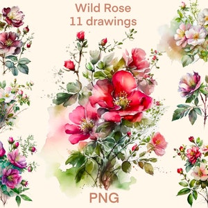Wild Rose Watercolor clipart png, Rose digital print, illustration set, stickers, Scrapbook, Junk Journal, Paper Crafts