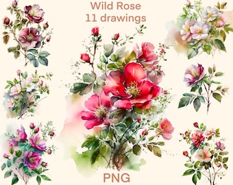 Wild Rose Watercolor clipart png, Rose digital print, illustration set, stickers, Scrapbook, Junk Journal, Paper Crafts