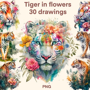 Tiger in flowers Watercolor clipart, illustration set, stickers, Scrapbook, Junk Journal, Paper Crafts