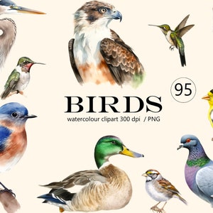 Birds clipart Watercolor  png, digital print, illustration set, stickers, Scrapbook, Junk Journal, Paper Crafts